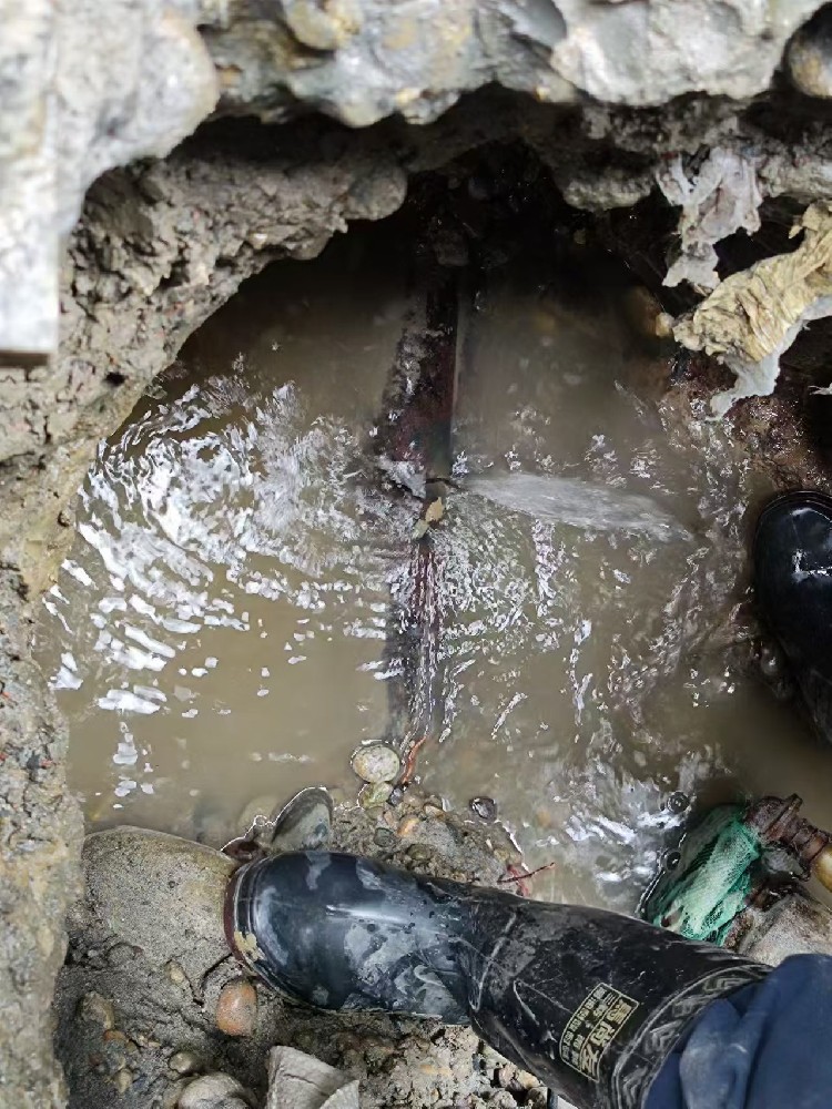 宜宾地区绿化水管漏水检测维修